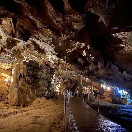 Alpesi faház Nina By Interhome *